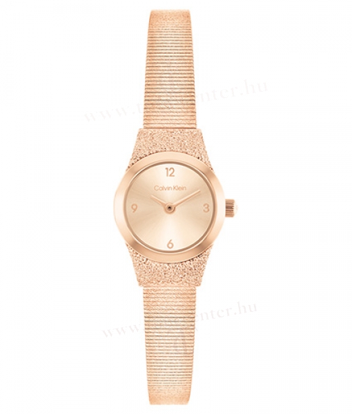 Calvin Klein CK25100194 karóra