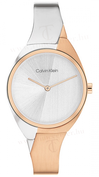 Calvin Klein CK25200237 karóra