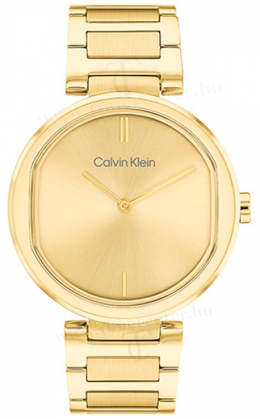 Calvin Klein CK25200252 karóra