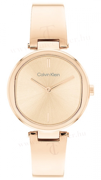 Calvin Klein CK25200308 karóra